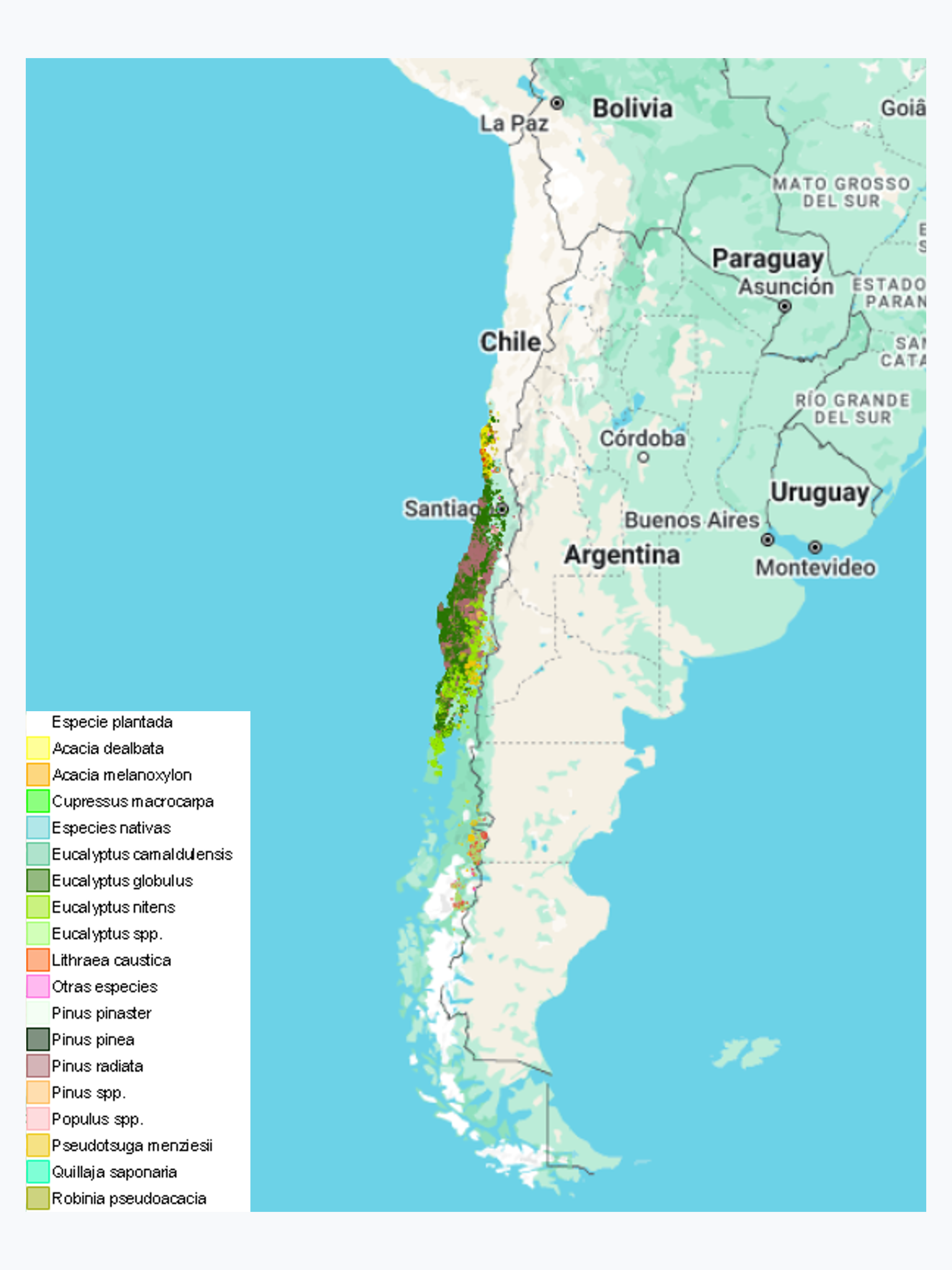 Plantaciones Forestales de Pequeños y Medianos Propietarios (PYMP) - 2021
